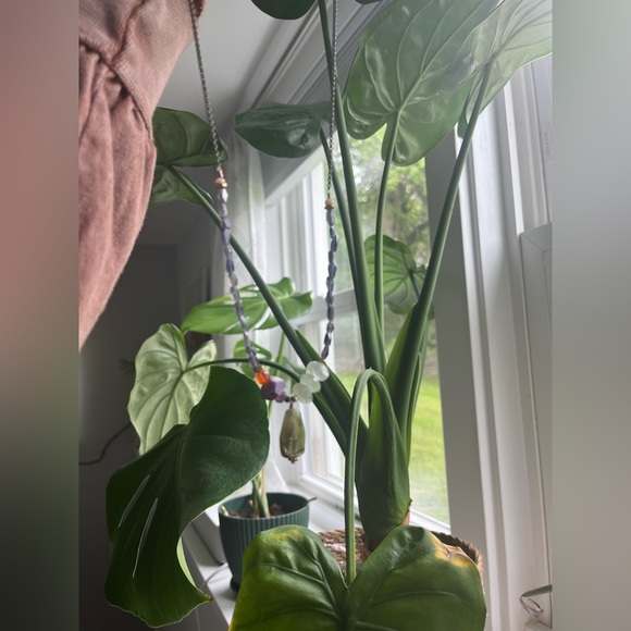 Sundance Style Gemstone Long Necklace - Picture 3 of 3